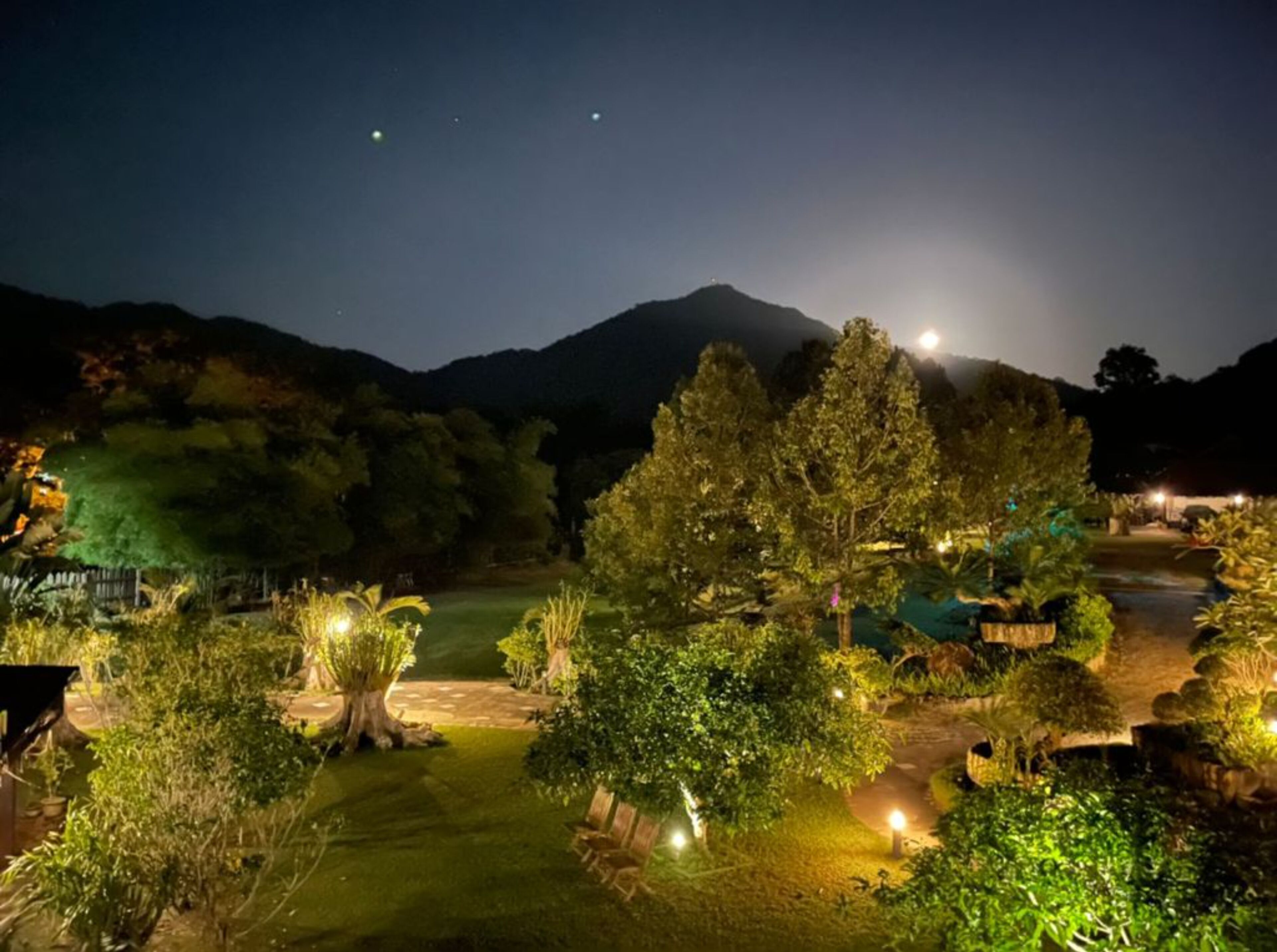 Garden view