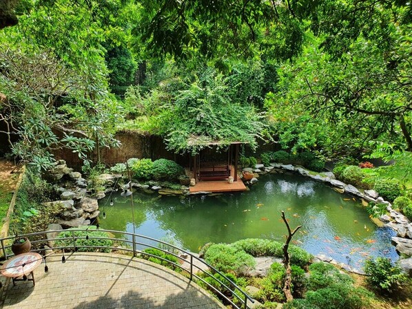 Alberca al aire libre 