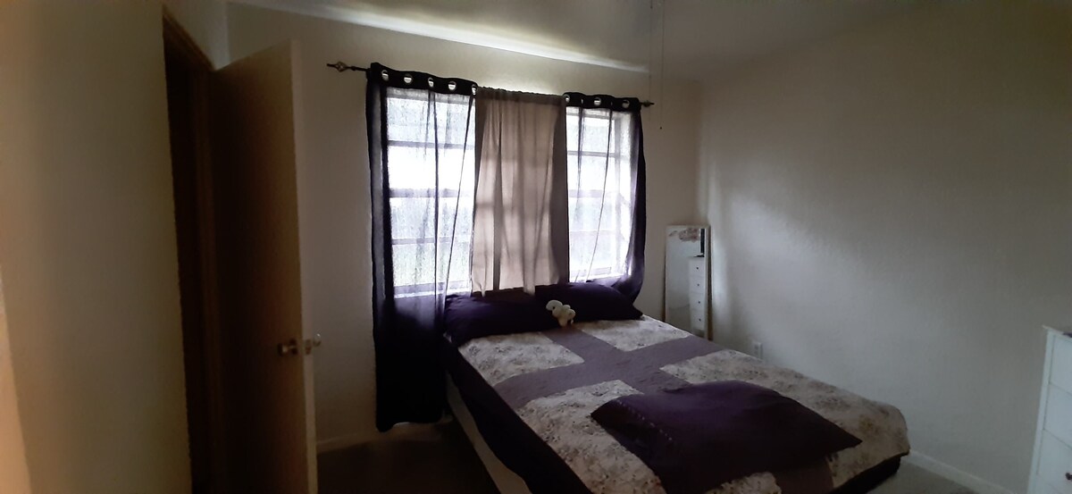 More photos