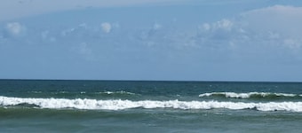 Beach Bungalow 2 bedrooms full kitchen fenced yard. Wifi 1 block 2 beach.
