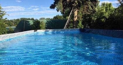 Vacation apartment horse on the riding stables