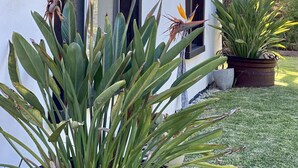 Un bâtiment moderne doté de grandes fenêtres et d’une plante en pot placée au premier plan.