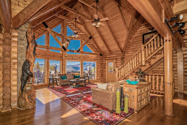 TV, fireplace, video games, DVD player