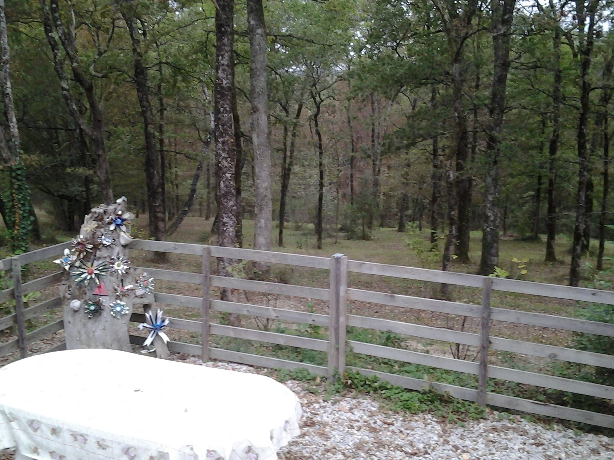 المنطقة المحيطة بالمنشأة