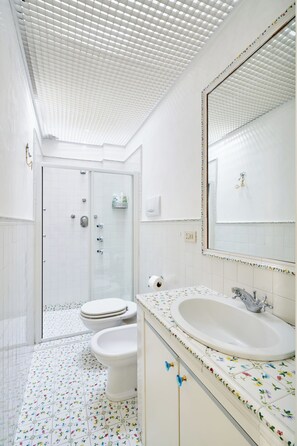 Shower, hair dryer, bidet, towels