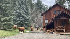 Una cabaña rústica con un porche, rodeada de un bosque.