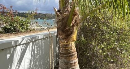 Secluded house on private beach