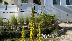 Un edificio blanco de dos pisos con un porche cubierto, rodeado de plantas diversas y un camino de grava.