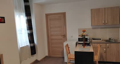Sandor Central Studio Apartment