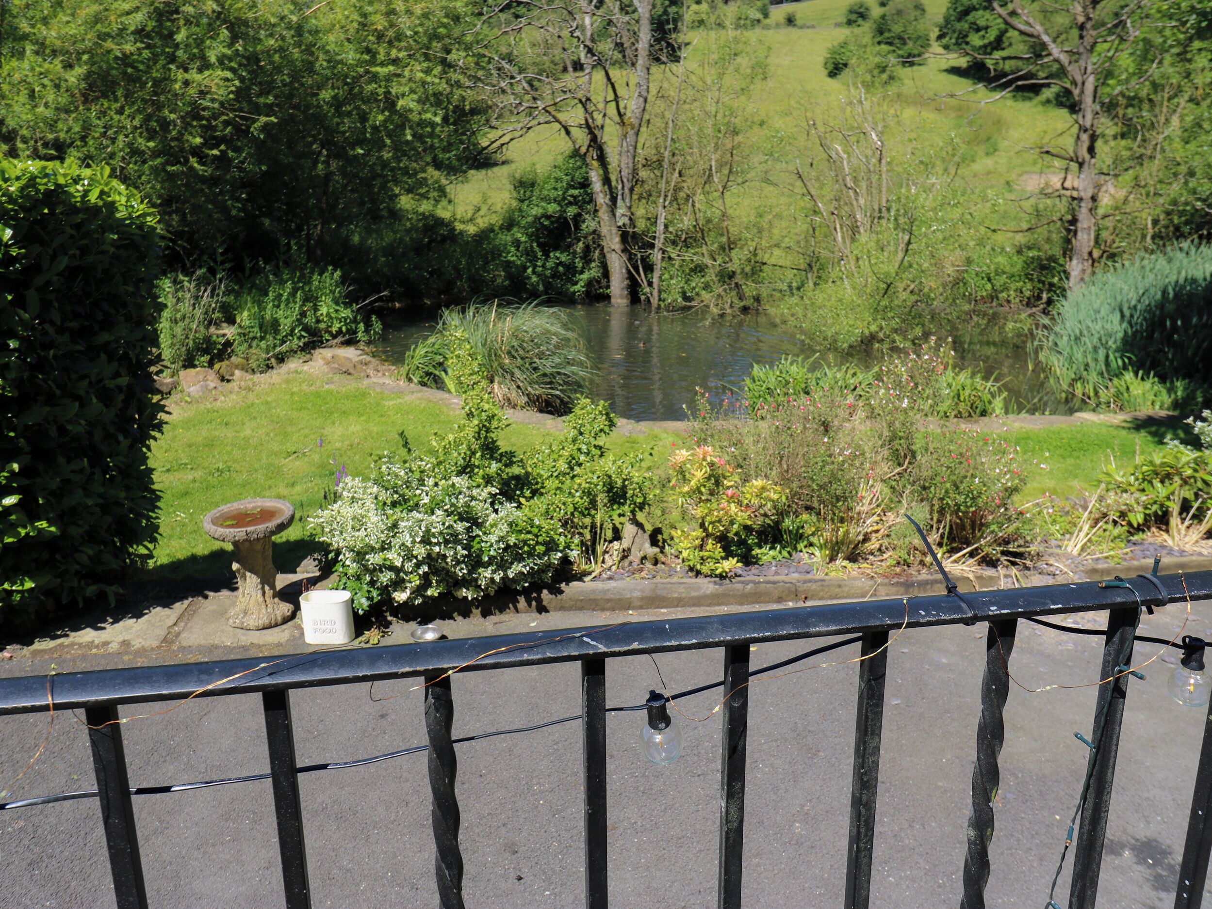 A garden with a pond, a bird bath, and various plants.
