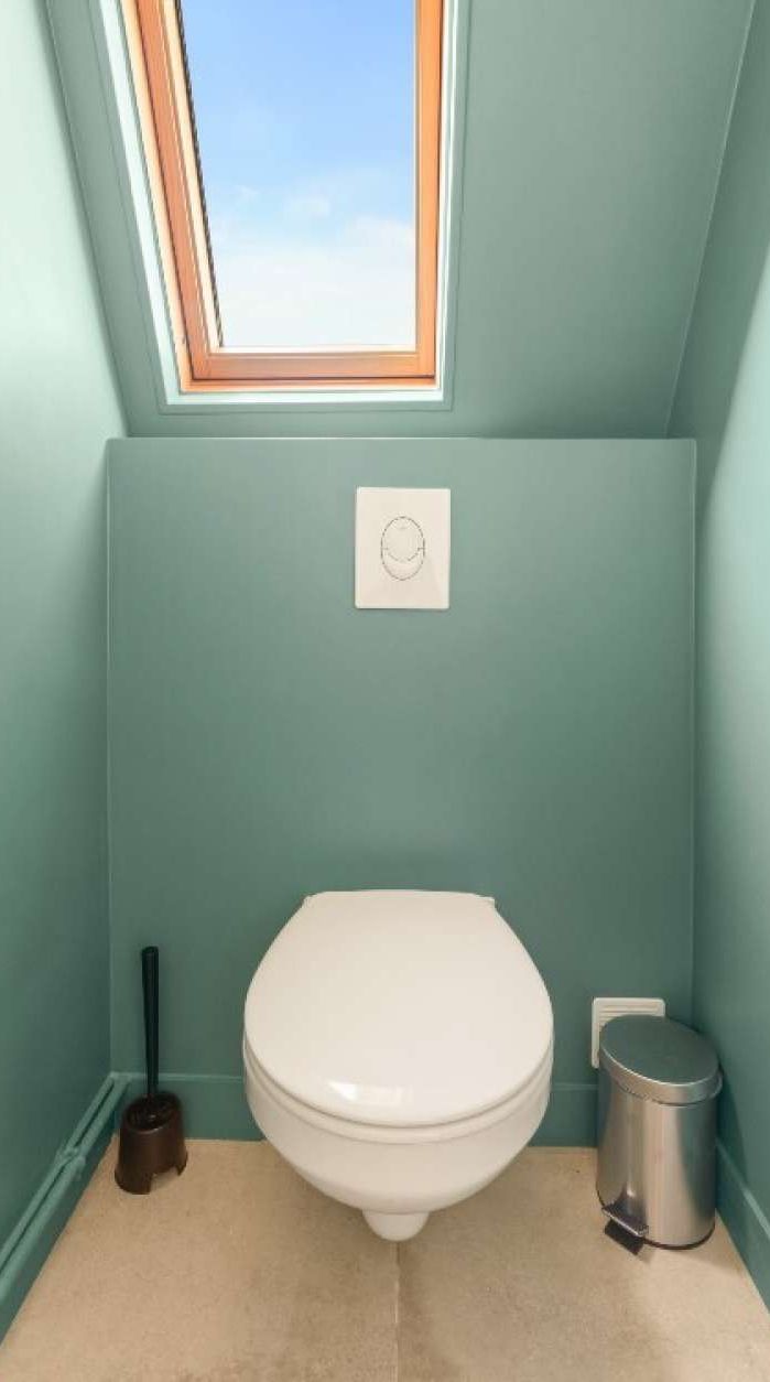 A bathroom with a skylight, a toilet, a plunger, and a trash can.