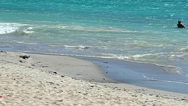 En strand med kristallklart turkosfärgat vatten, en sandstrand och flera segelbåtar som ligger ankrade nära en liten ö med tät vegetation.