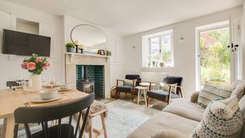 TV, fireplace, books