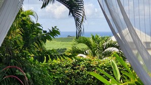 A lush garden with a view of the ocean.