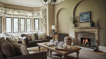 TV connectée, cheminée, lecteur de DVD