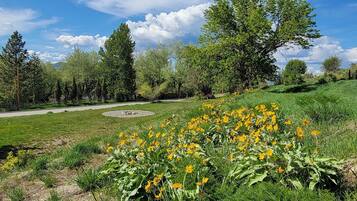 Overnatningsstedets område