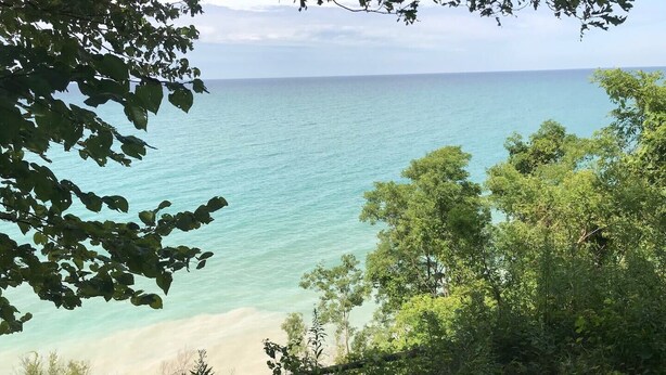 Ein Küstenblick mit sandigem Strand und dichter Vegetation.