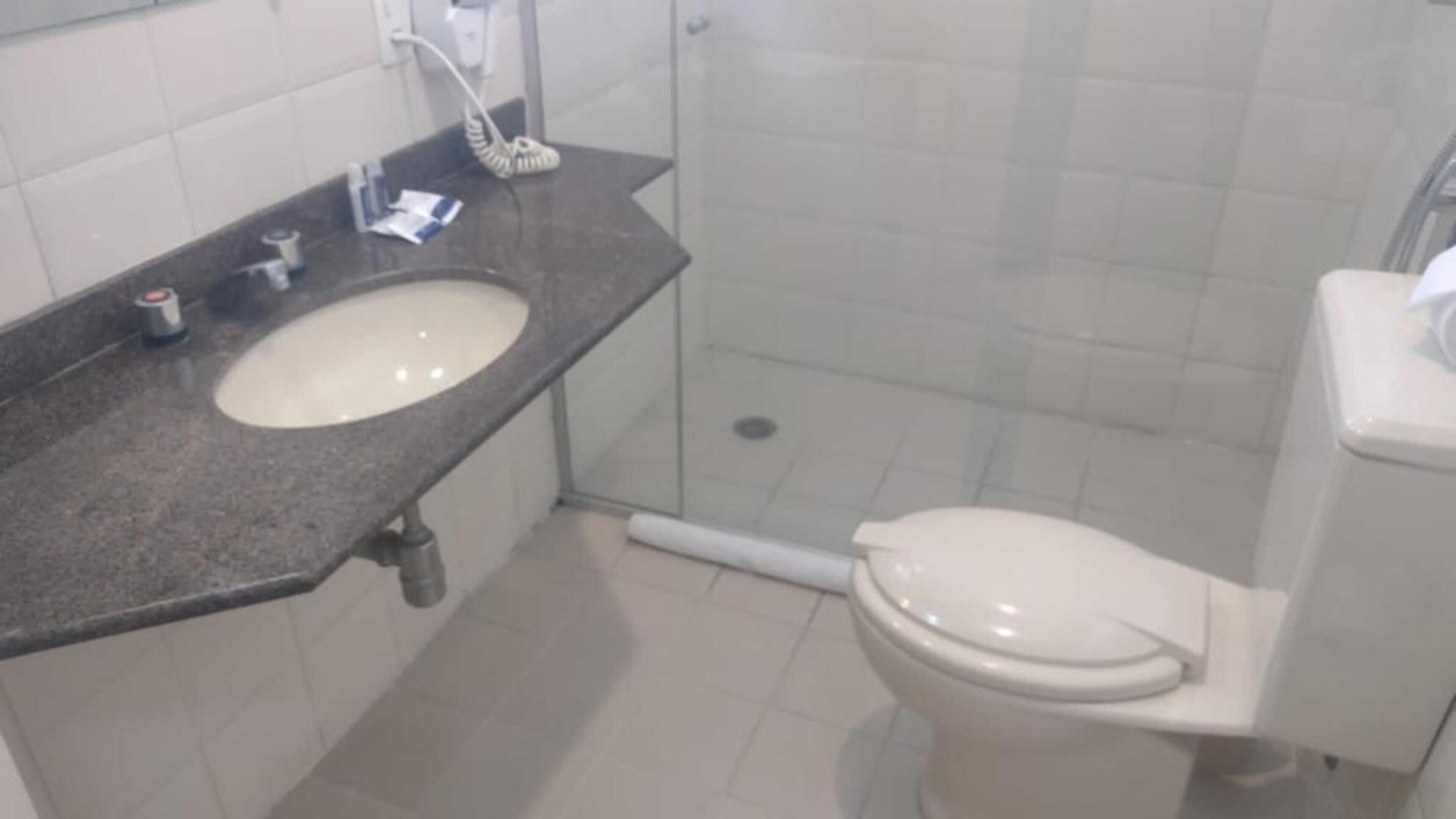 Une salle de bain avec un lavabo, des toilettes et une douche.