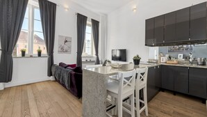 A modern kitchen with dark cabinets, a granite countertop, and a built-in TV. - Przytulne apartamenty plac Zamkowy (Warsaw)