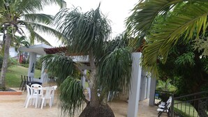 Ein überdachter Außenbereich mit weißen Plastikstühlen und einem Tisch, umgeben von Palmen und einer Pergola.