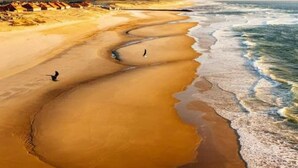 A beach with a curved shoreline, a bird flying, and a person walking. - Mobile home 40 m²+veranda in the 3-star vacation park les Dunes de Contis 4 km from the beach (Saint-Julien-en-Born)