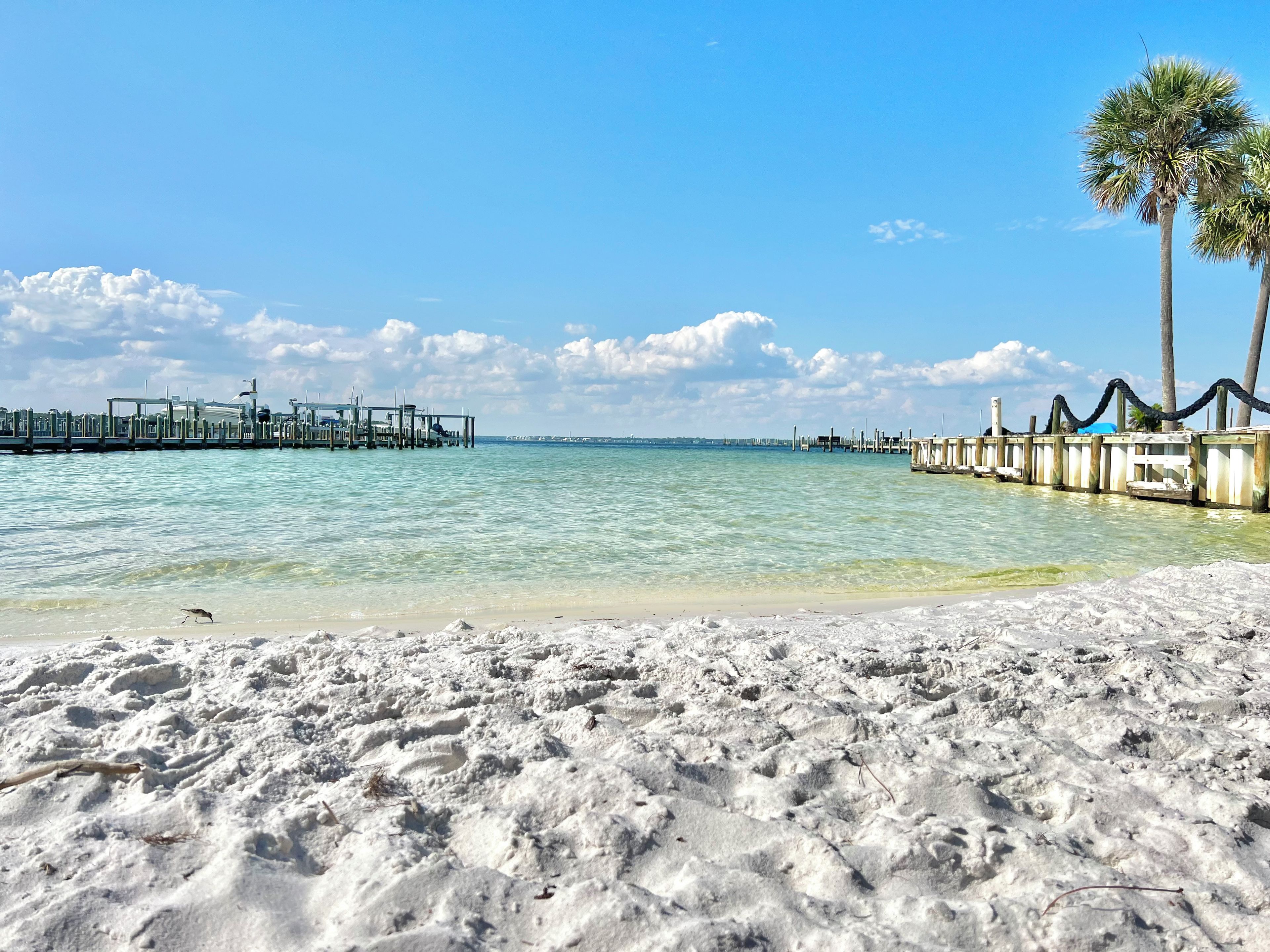 A beach with clear water, a wooden pier, and a palm tree.