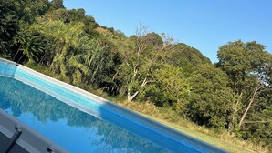 A clear blue pool with a tiled edge, surrounded by lush greenery and trees.