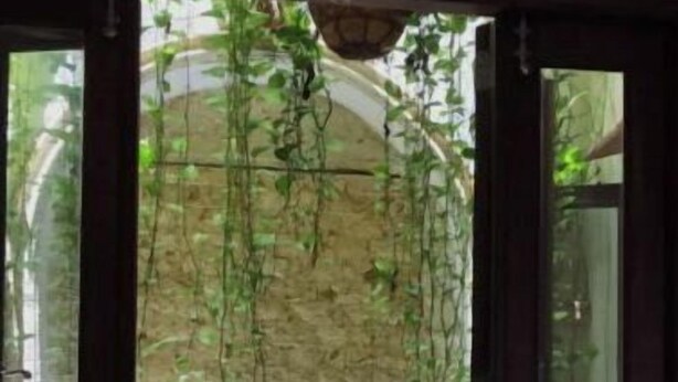An open doorway leading to a stone wall with hanging plants. - Luxury House in Old San Juan (San Juan)