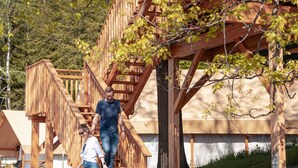 A wooden staircase leading to a wooden deck with a view of trees and a building in the background.