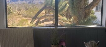 Secluded home in the Joshua Tree Forest close to the Grand Canyon West Skywalk