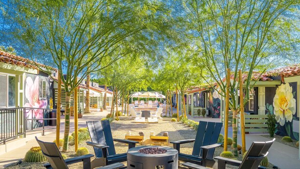 A courtyard with outdoor seating, a fire pit, and cacti. - Fleur Noire Hotel - 21 and Over (Palm Springs)