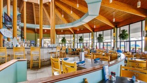 A spacious restaurant with high wooden ceilings, large windows, and a curved counter area.