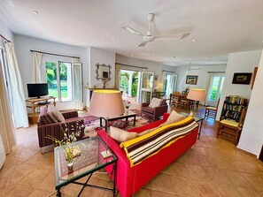 Télévision, cheminée, lecteur de DVD, livres