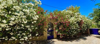 Los Olivos - Luxury 3 Bed Villa & Pool near Ronda near Majestic Town of Ronda