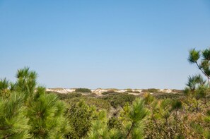 A natural landscape with pine trees and shrubs. - Almost Heaven: Awesome Views, Private Poo & Hot Tub, Pet-friendly (Corolla)