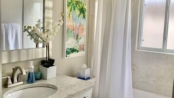 Combined shower/tub, hair dryer, bidet, towels
