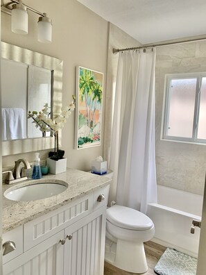 Combined shower/tub, hair dryer, bidet, towels