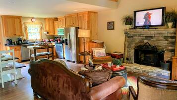 Smart TV, fireplace, books