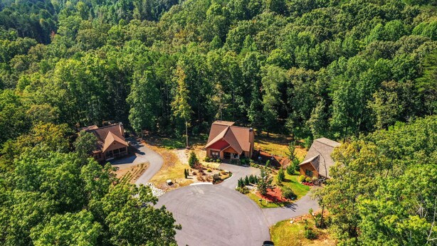 A large, two-story lodge surrounded by dense forest, with a spacious driveway and multiple entry points. - Cozy Cottage minutes from Wineries & 5 miles to Dahlonega Square (Dahlonega)