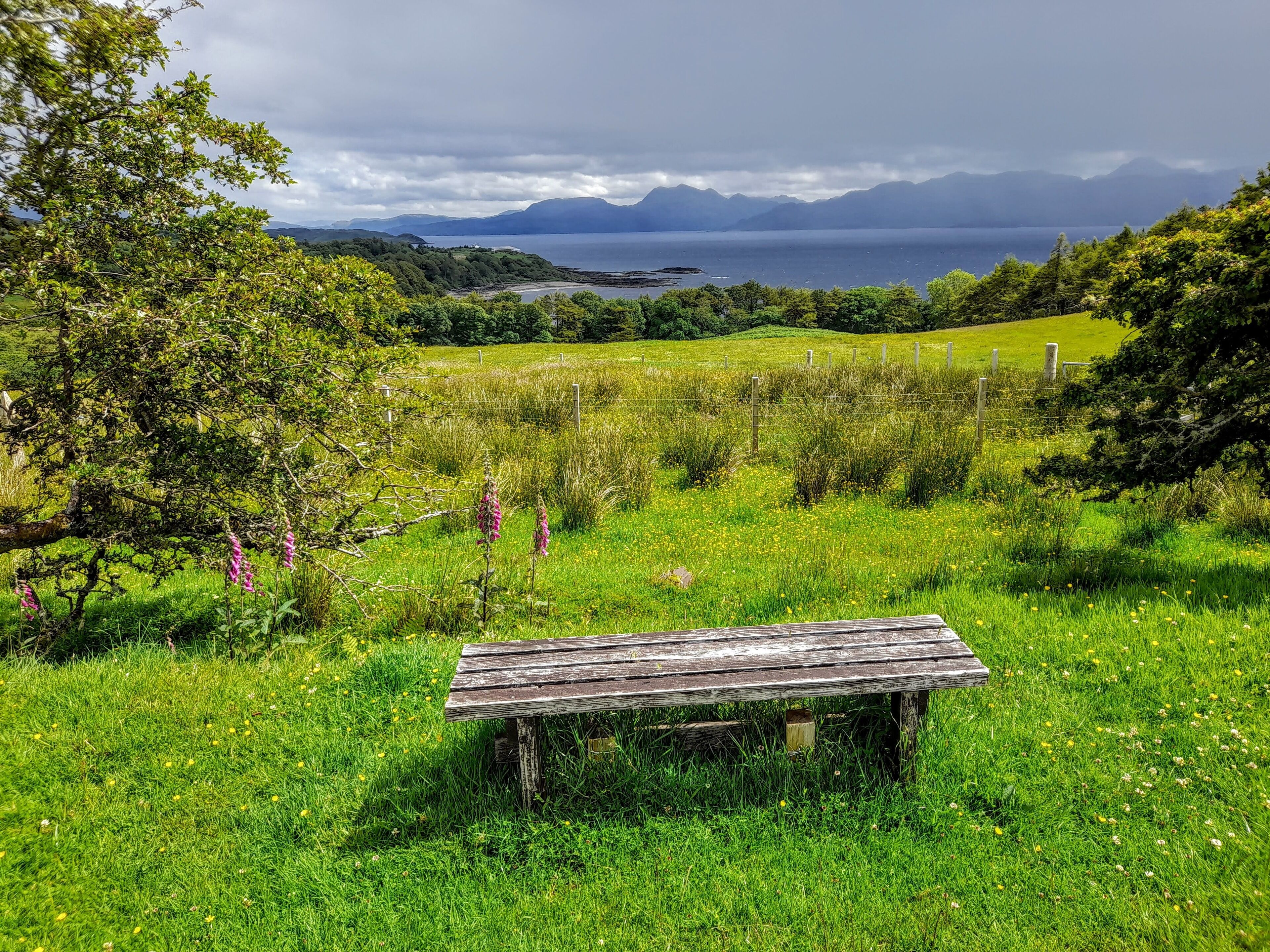 A wooden bench in a grassy field with a view of a lake and mountains in the distance.
