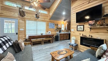 Télévision, cheminée, lecteur de DVD, livres