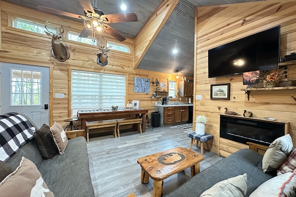 Télévision, cheminée, lecteur de DVD, livres