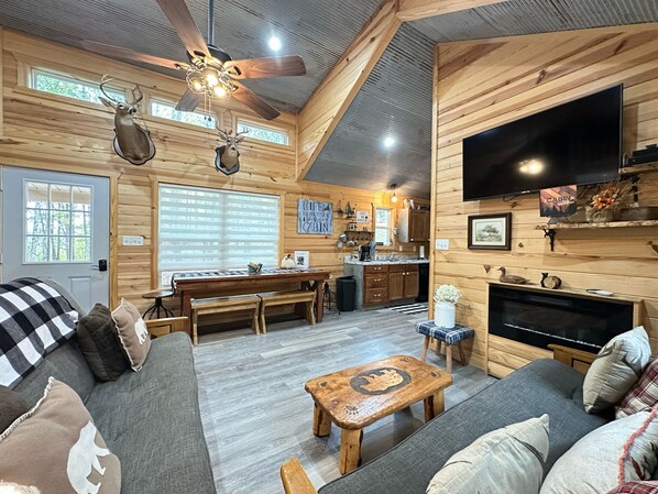 TV, fireplace, DVD player, books