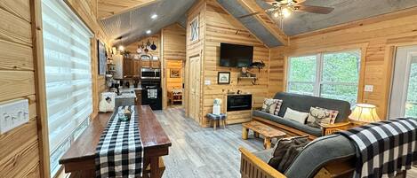 Televisión, chimenea, reproductor de DVD y libros