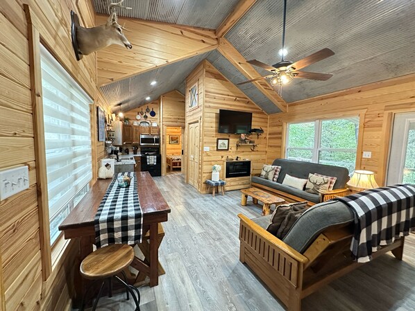 TV, fireplace, DVD player, books