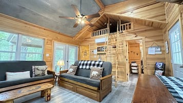 Télévision, cheminée, lecteur de DVD, livres