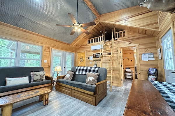 TV, fireplace, DVD player, books