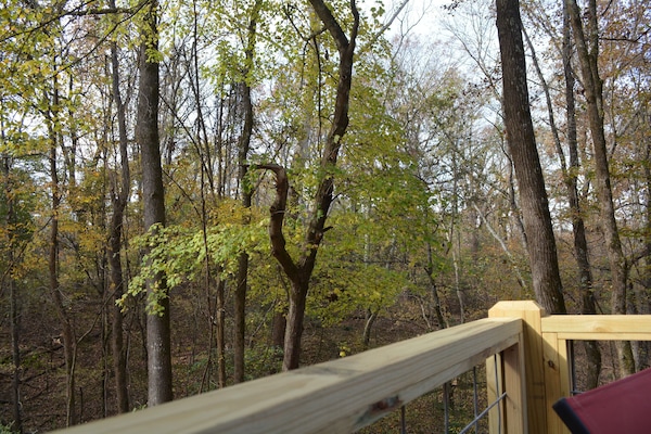 Àrea exterior de l'allotjament