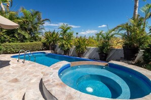 A swimming pool with a stone deck, surrounded by palm trees and potted plants.