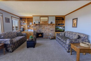 Televisio, takka, DVD-soitin, videokirjasto